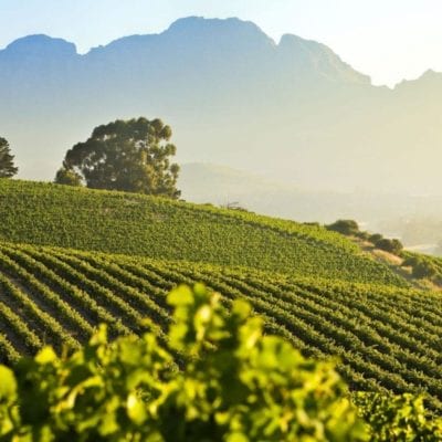 South Africa Wine Business Worksop 2025